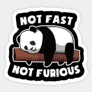 Not Fast Not Furious Baby Panda for Pandafan Sticker